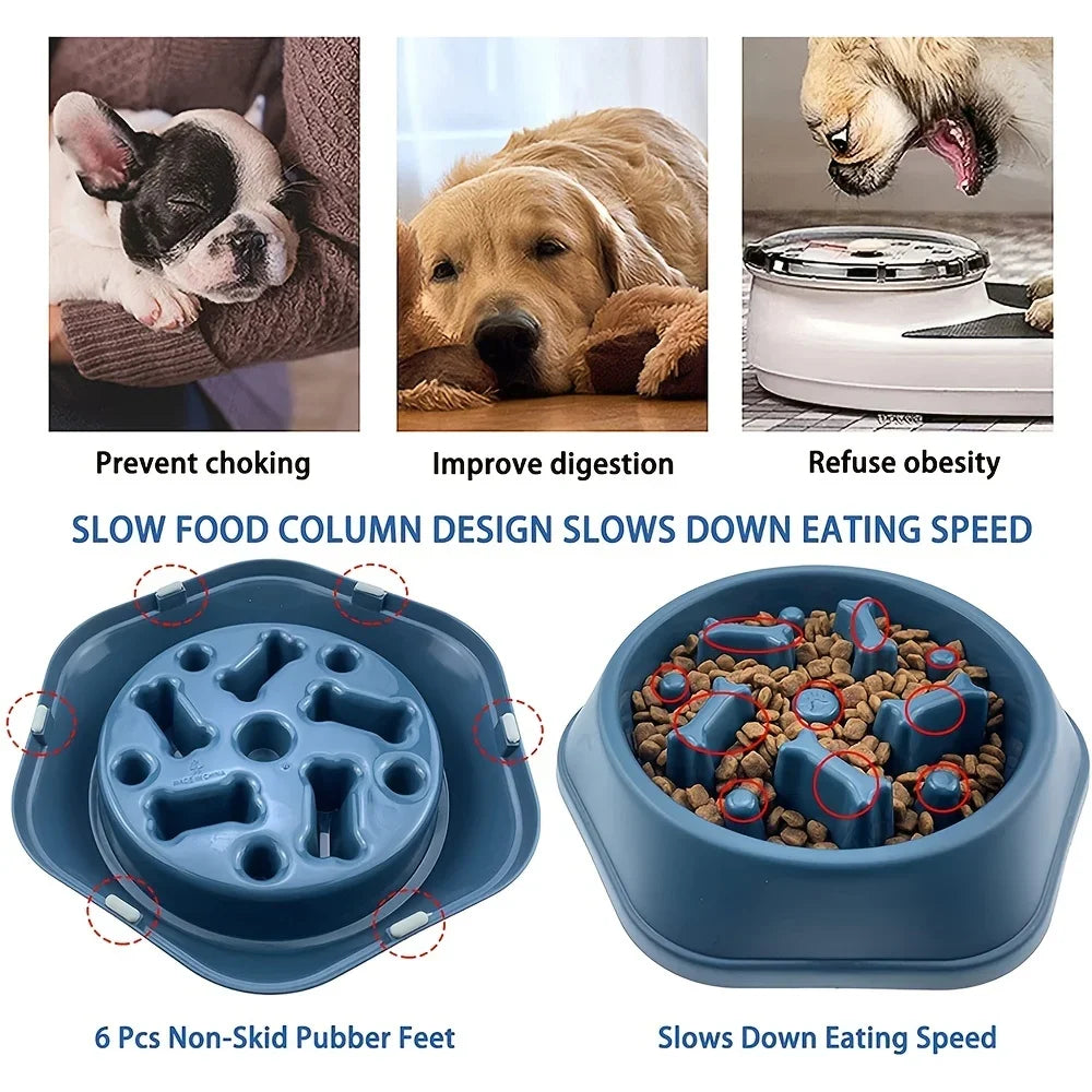 Non-Choking Slow Feeder Bowl for Dogs &amp; Cats