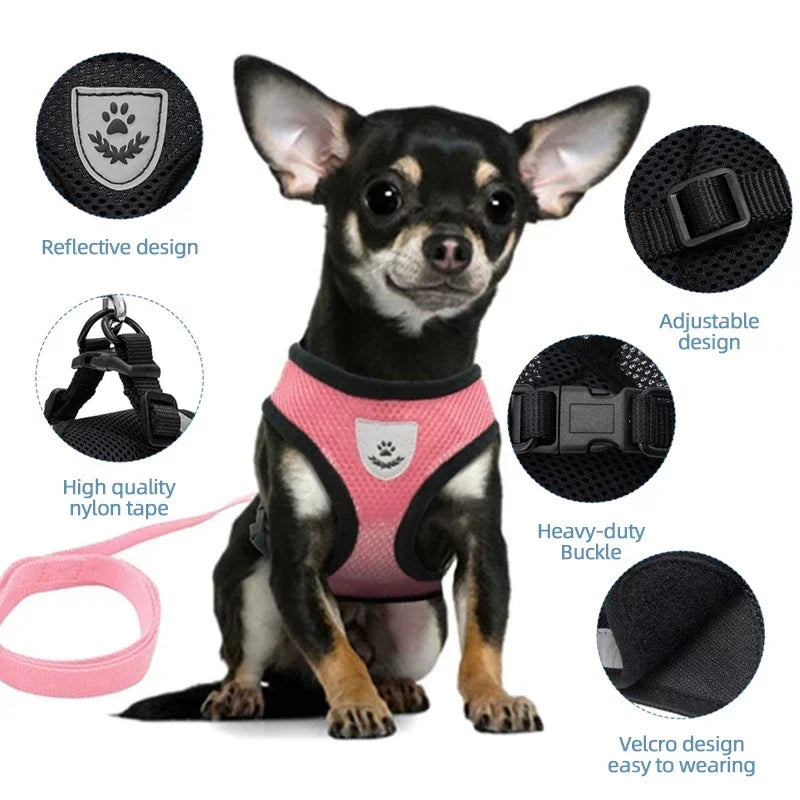 Adjustable Mesh Harness &amp; Leash Set for Cats &amp; Dogs