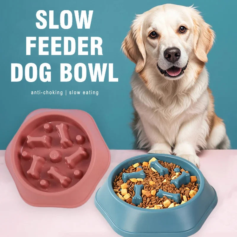 Anti-Choke Slow Feeder Bowl for Dogs