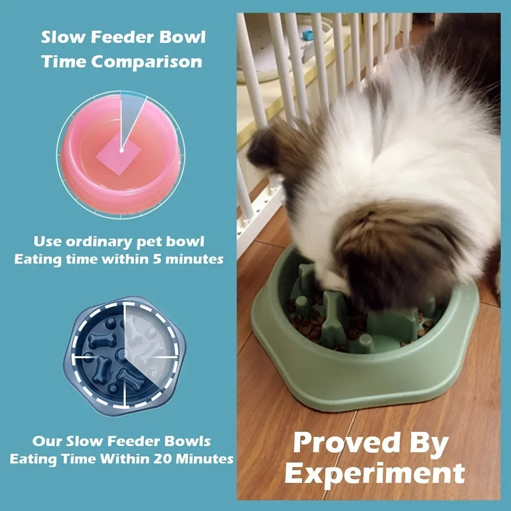 Non-Choking Slow Feeder Bowl for Dogs &amp; Cats