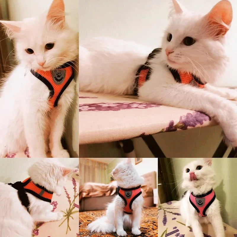 Adjustable Mesh Harness &amp; Leash Set for Cats &amp; Dogs