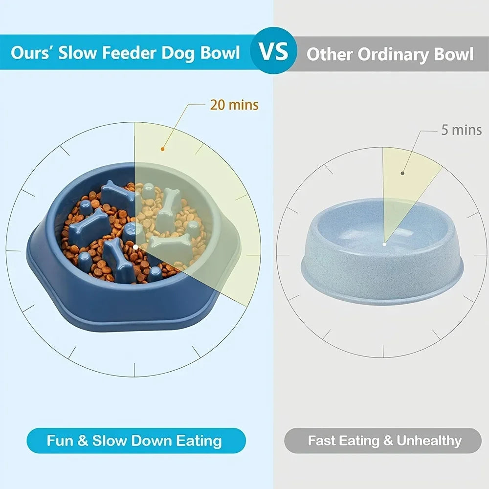 Non-Choking Slow Feeder Bowl for Dogs &amp; Cats