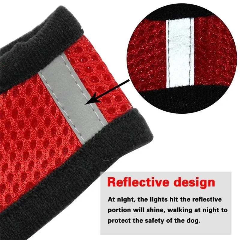 Adjustable Mesh Harness &amp; Leash Set for Cats &amp; Dogs