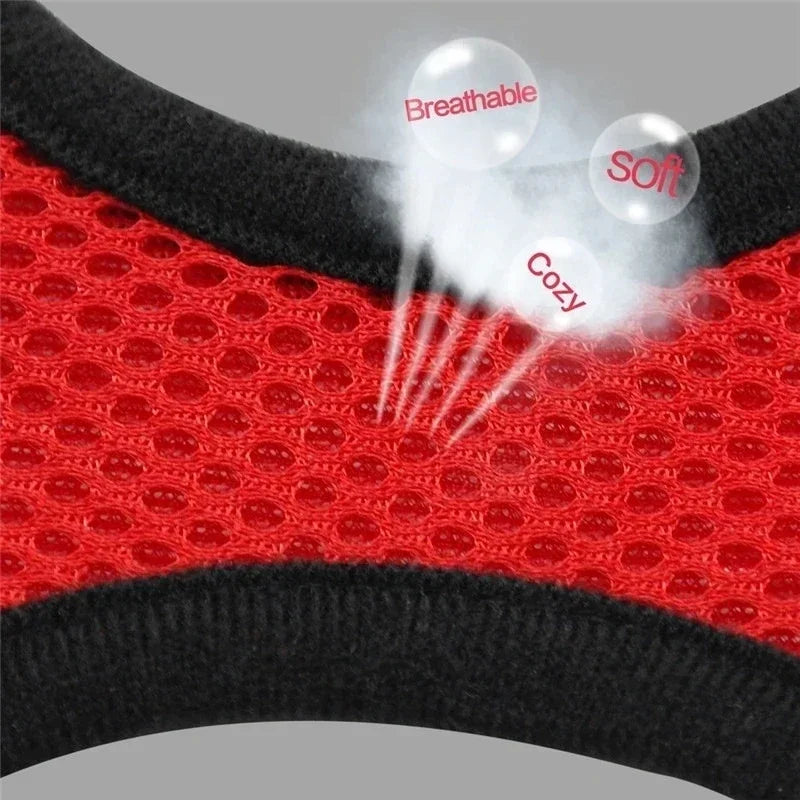 Adjustable Mesh Harness &amp; Leash Set for Cats &amp; Dogs