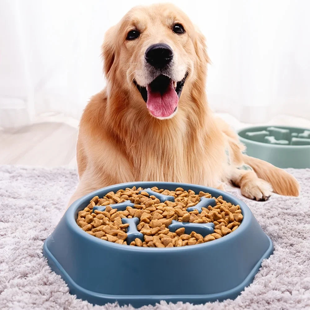 Non-Choking Slow Feeder Bowl for Dogs &amp; Cats