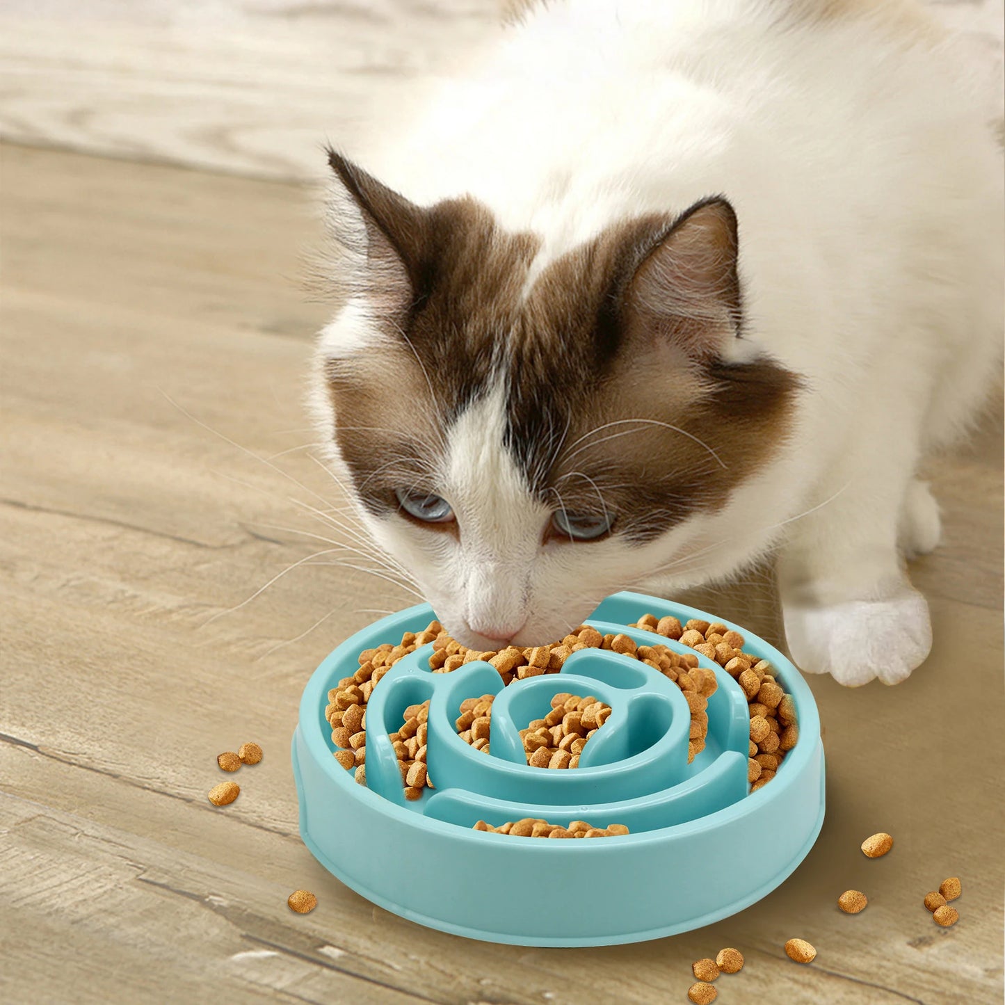 Maze-Style Anti-Gulping Slow Feeder Bowl