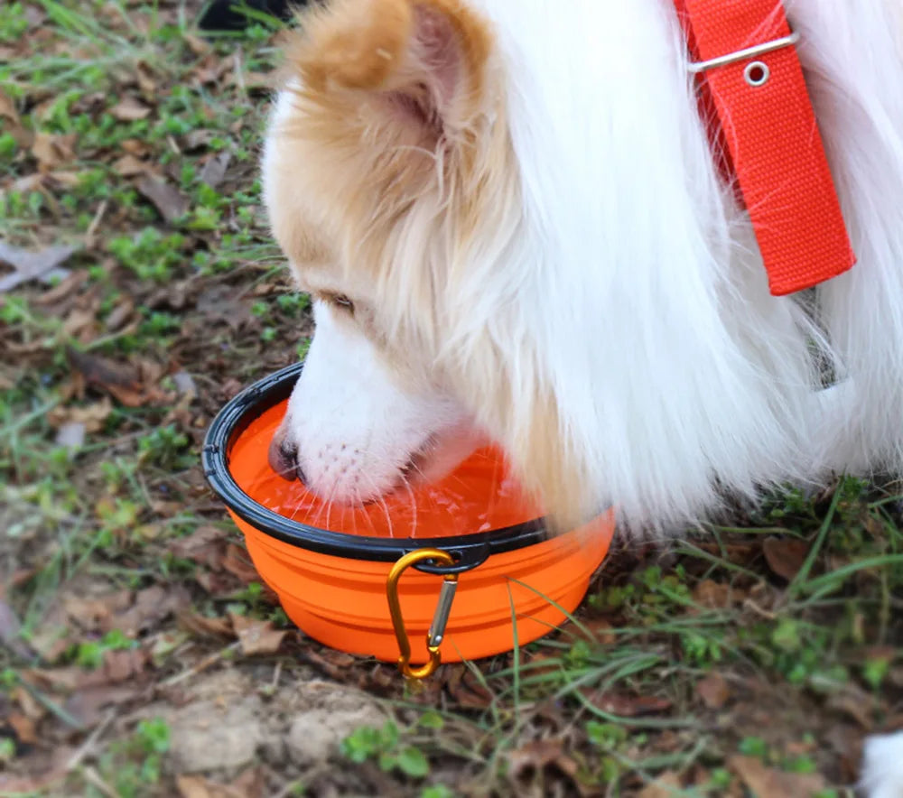 Collapsible Silicone Travel Bowl for Dogs &amp; Cats