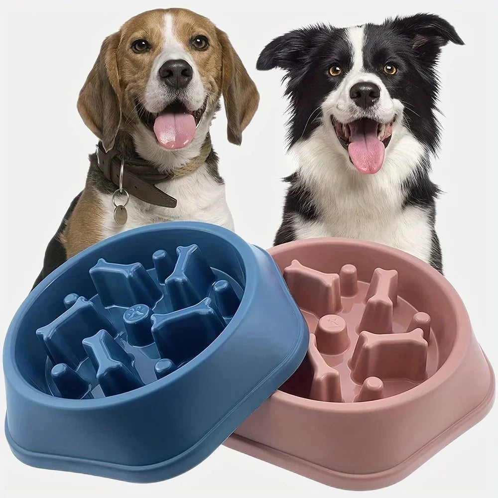 Non-Choking Slow Feeder Bowl for Dogs &amp; Cats