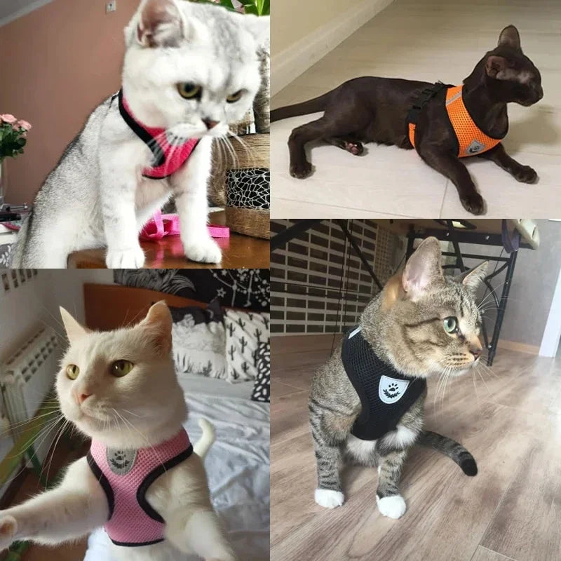 Adjustable Mesh Harness &amp; Leash Set for Cats &amp; Dogs
