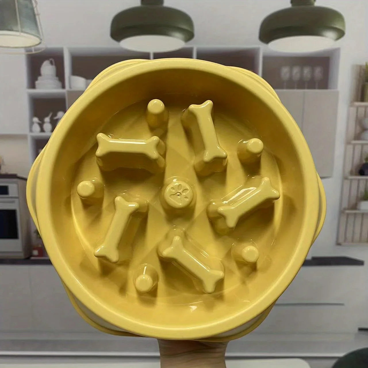 Non-Choking Slow Feeder Bowl for Dogs &amp; Cats
