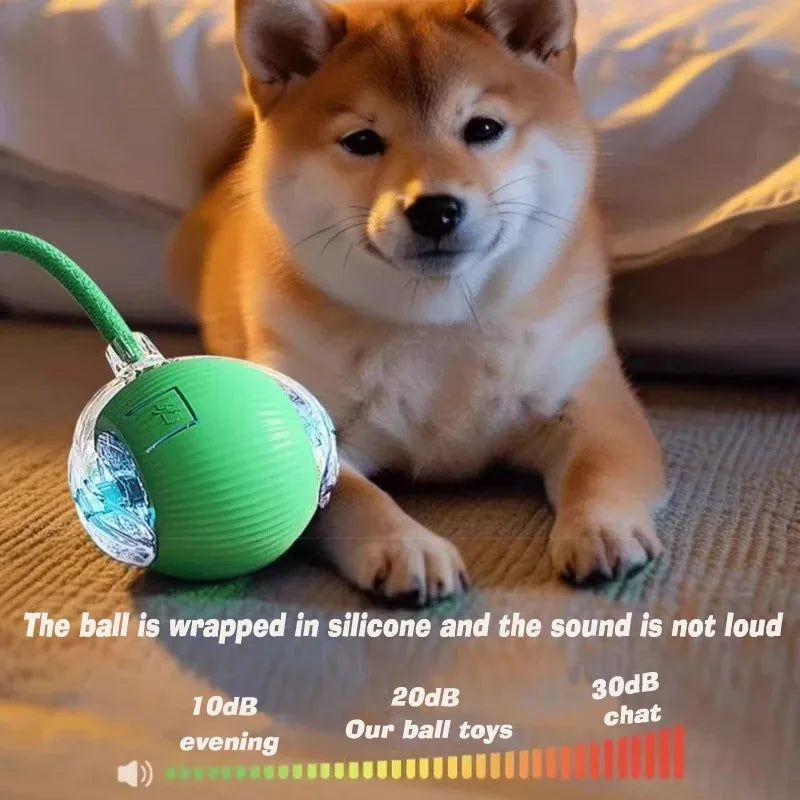 Automatic Rolling Interactive Ball Toy for Dogs