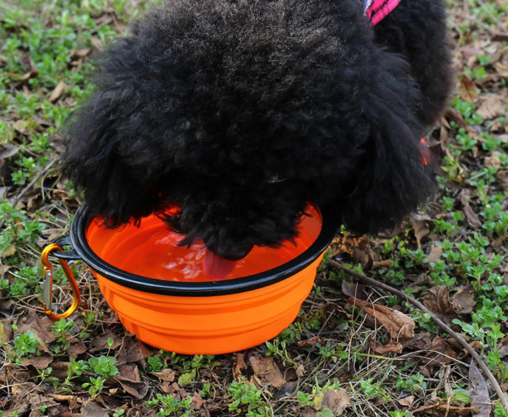 Collapsible Silicone Travel Bowl for Dogs &amp; Cats