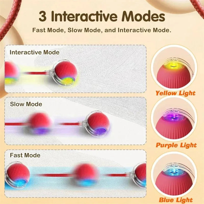 Automatic Rolling Interactive Ball Toy for Dogs