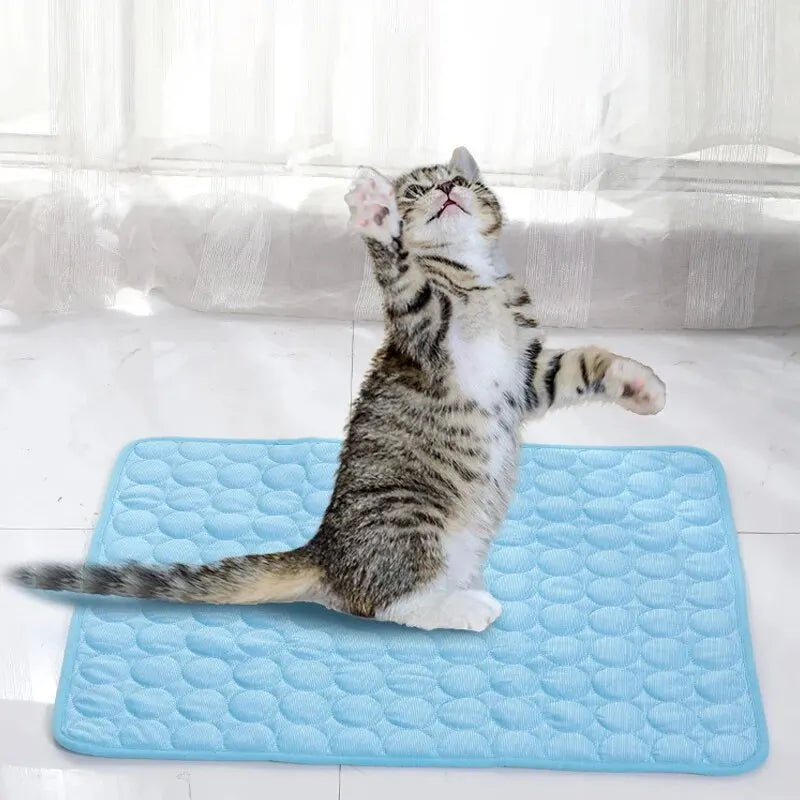 Ice Cooling Sleep Mat for Small Pets