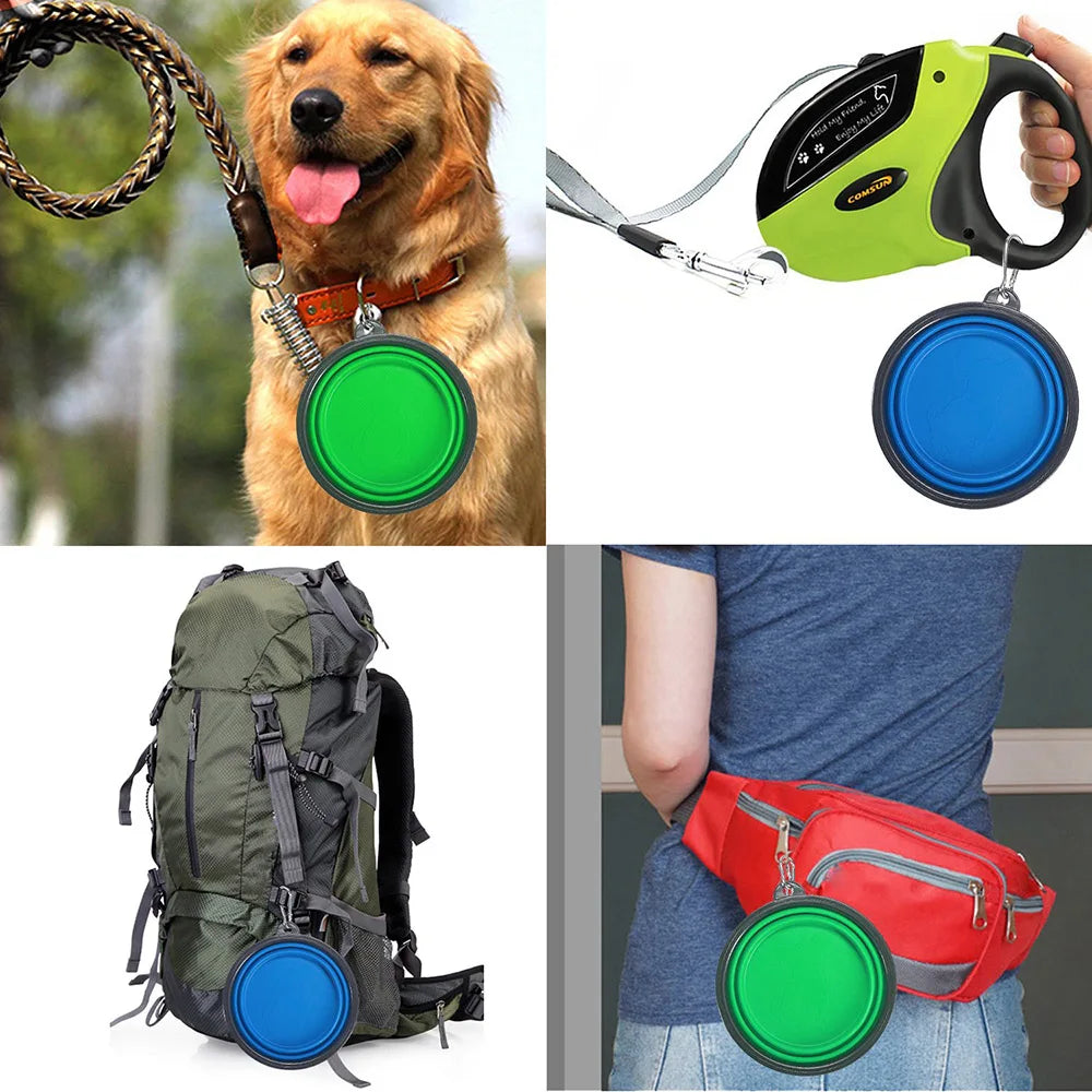 Collapsible Silicone Travel Bowl for Dogs &amp; Cats